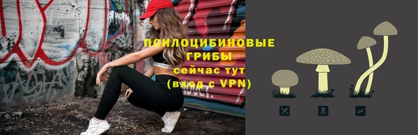 эйфоретик Арсеньев