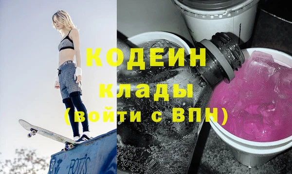 хмурый Алексин