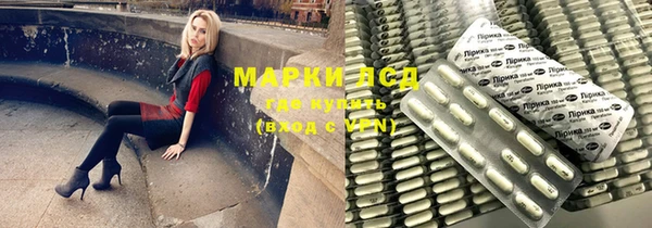 сатива Армянск