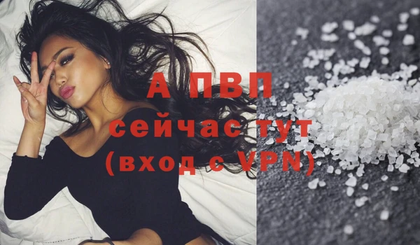 эйфоретик Арсеньев