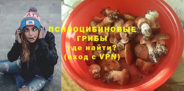сатива Армянск