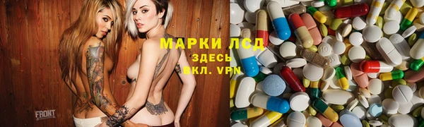эйфоретик Арсеньев