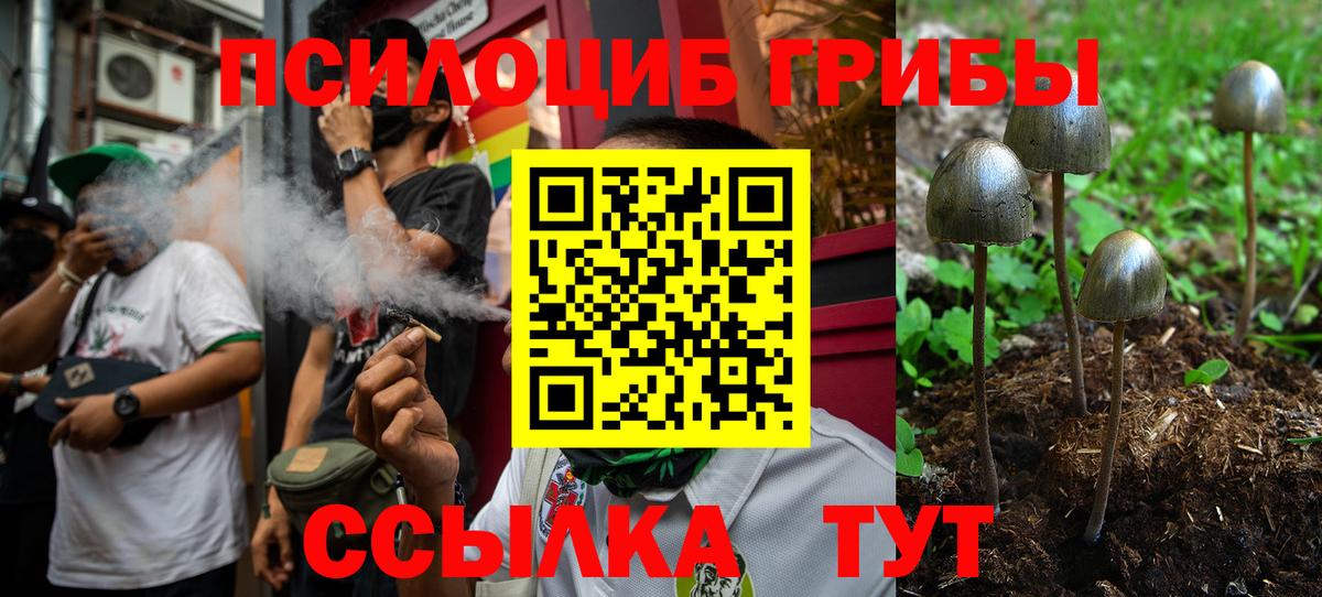 Псилоцибиновые грибы Psilocybe Саки